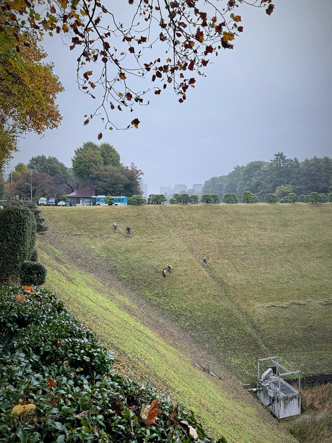 【写真満載】霧雨の皇居ラン。