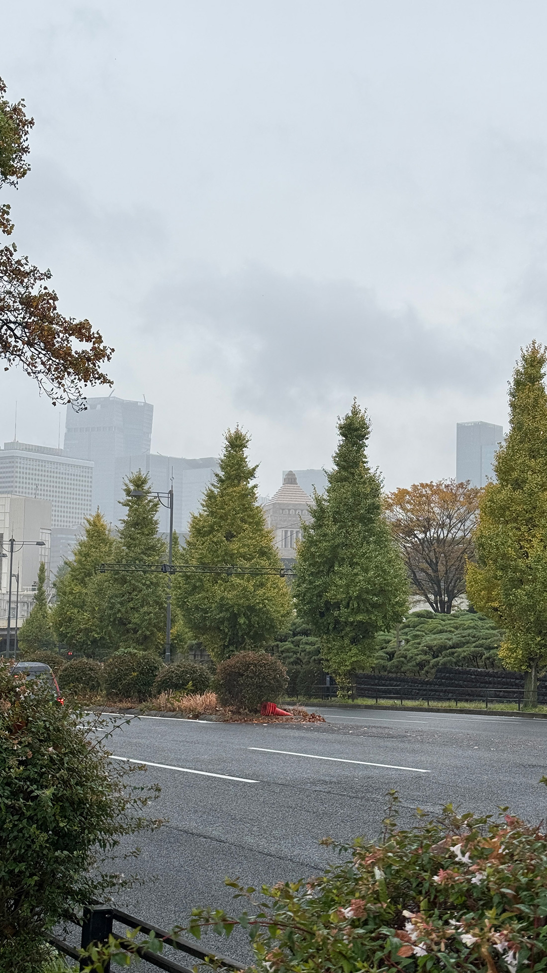 【写真満載】霧雨の皇居ラン。