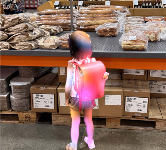 【iOS 18.1】画像の不要な部分を削除できるクリーンアップ。