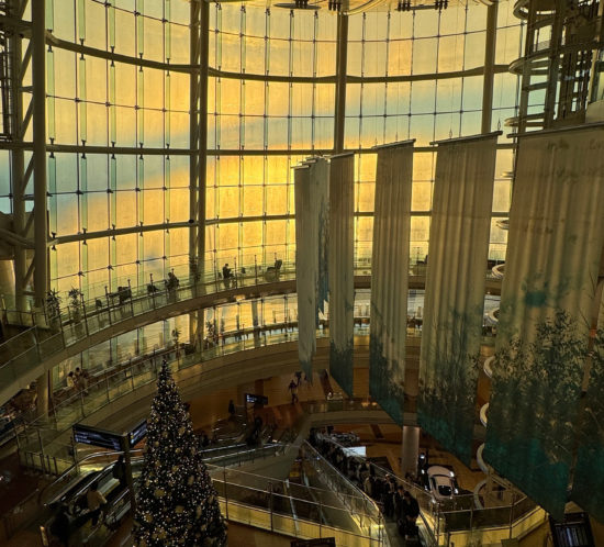 最終日、羽田空港にて。