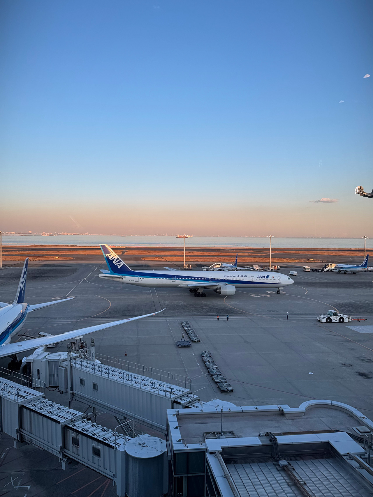 6D5652DE-6600-4E92-9A20-F8C7E2507EEC 最終日、羽田空港にて。