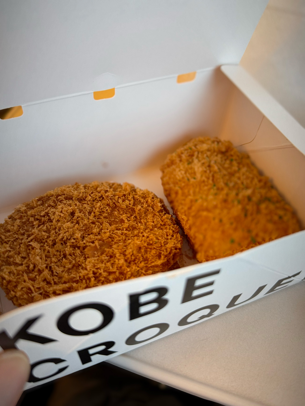 IMG_4740 新幹線への「特大荷物」の持ち込みご安心ください。っていう話。