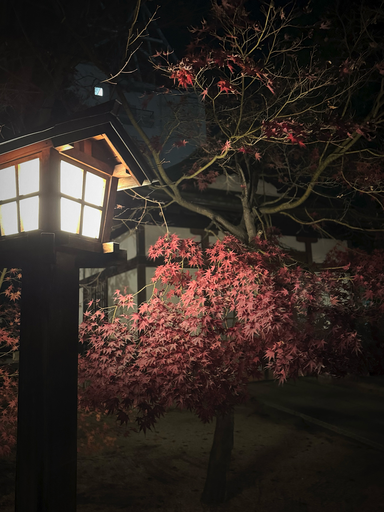 【写真満載】松本LOVER