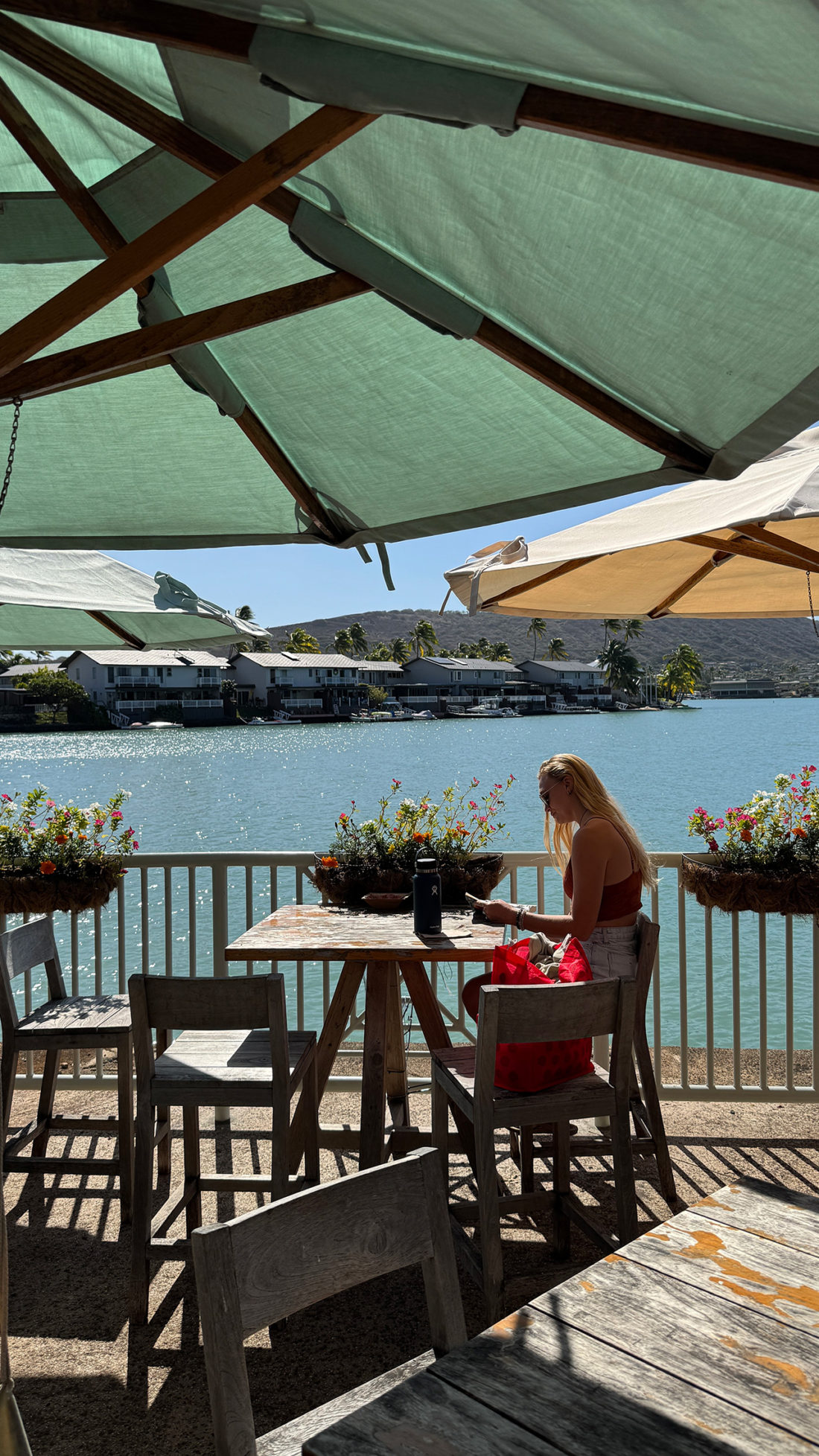 今日もいい天気。