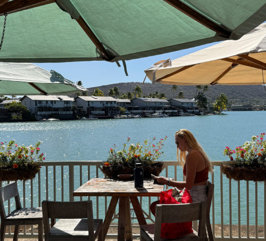 今日もいい天気。