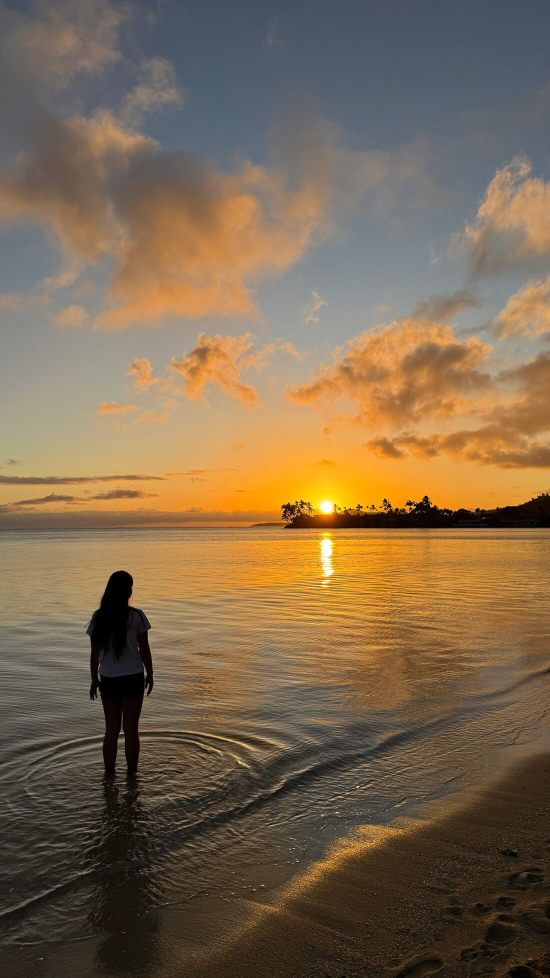 ハワイの冬と美しいビーチ。
