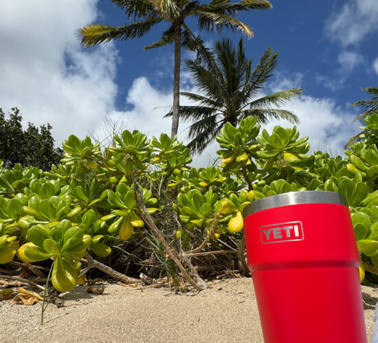 煮詰まったのでビーチに。