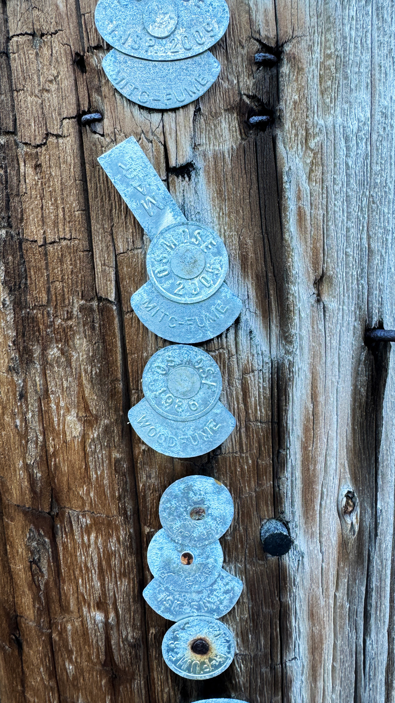 IMG_6485 ハワイの電柱。