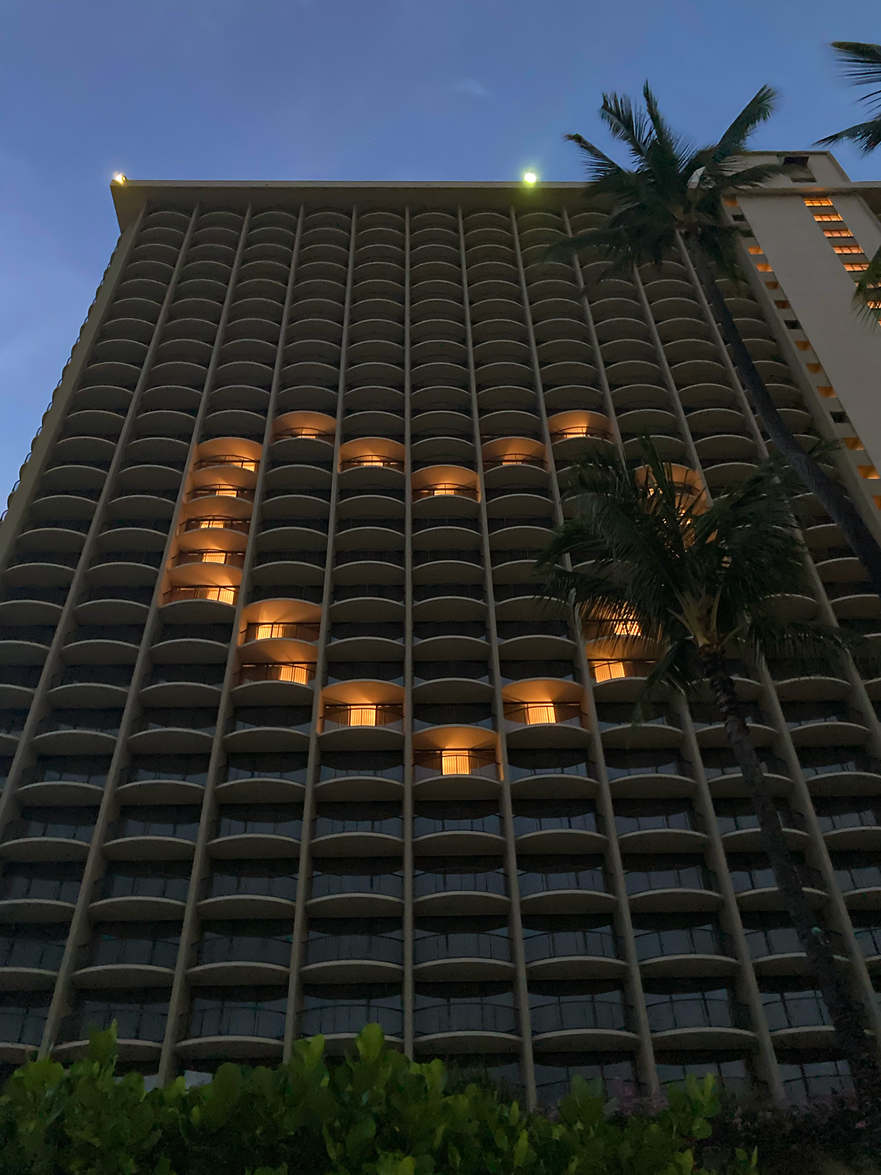 IMG_2213 一体あれは何だったのか?