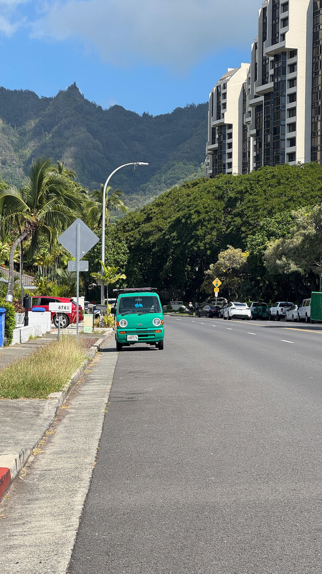 スズキさんにめっちゃ見られた。