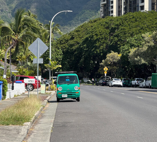 スズキさんにめっちゃ見られた。
