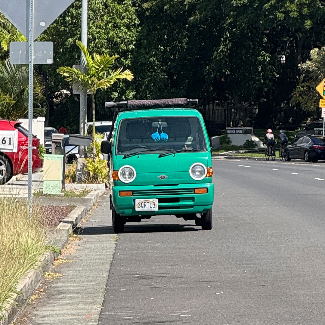 IMG_6508i スズキさんにめっちゃ見られた。