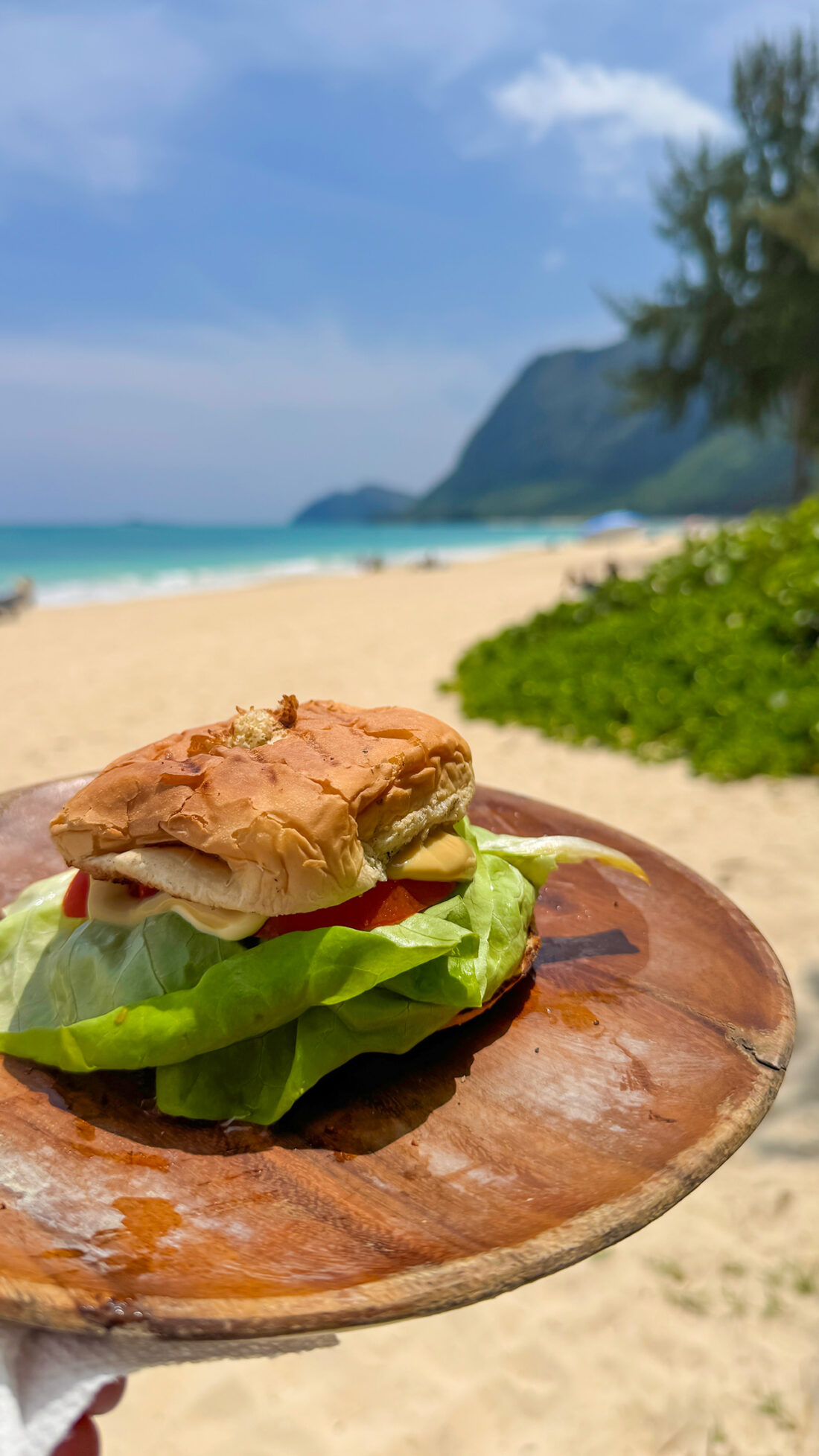 ワイマナロで歓送迎会。