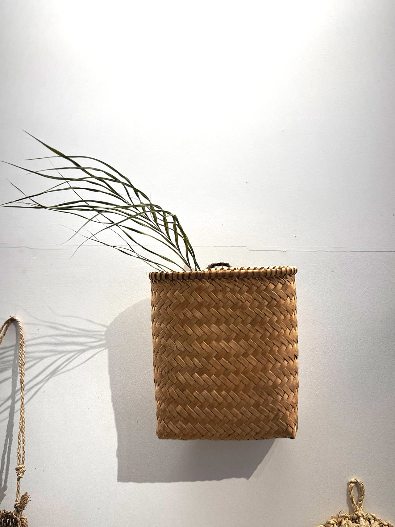 世界のかご カゴアミドリ | 松本