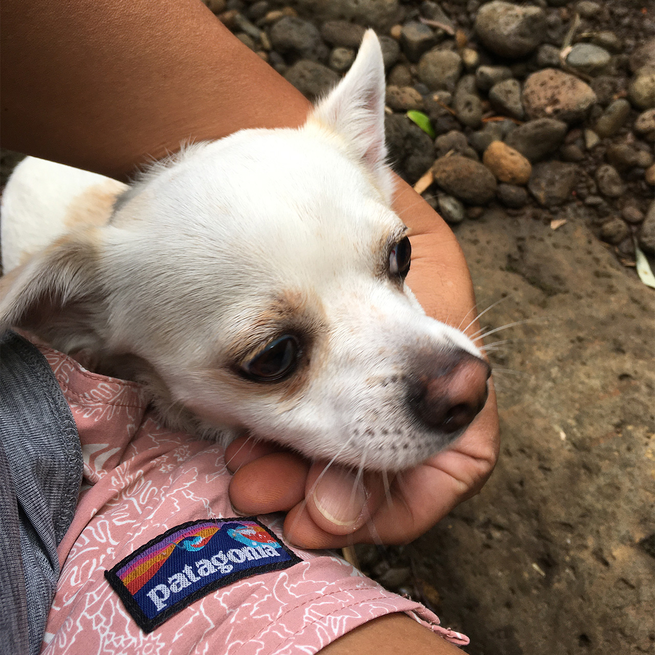 IMG_1023 マルコ。