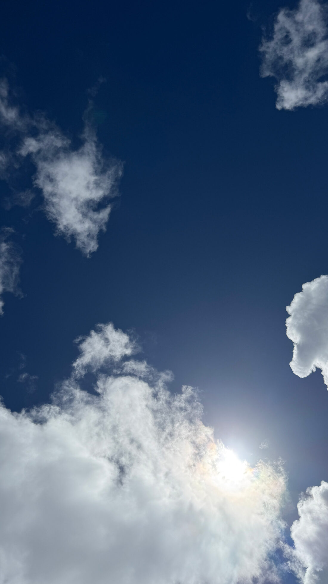 只々ボーっと。