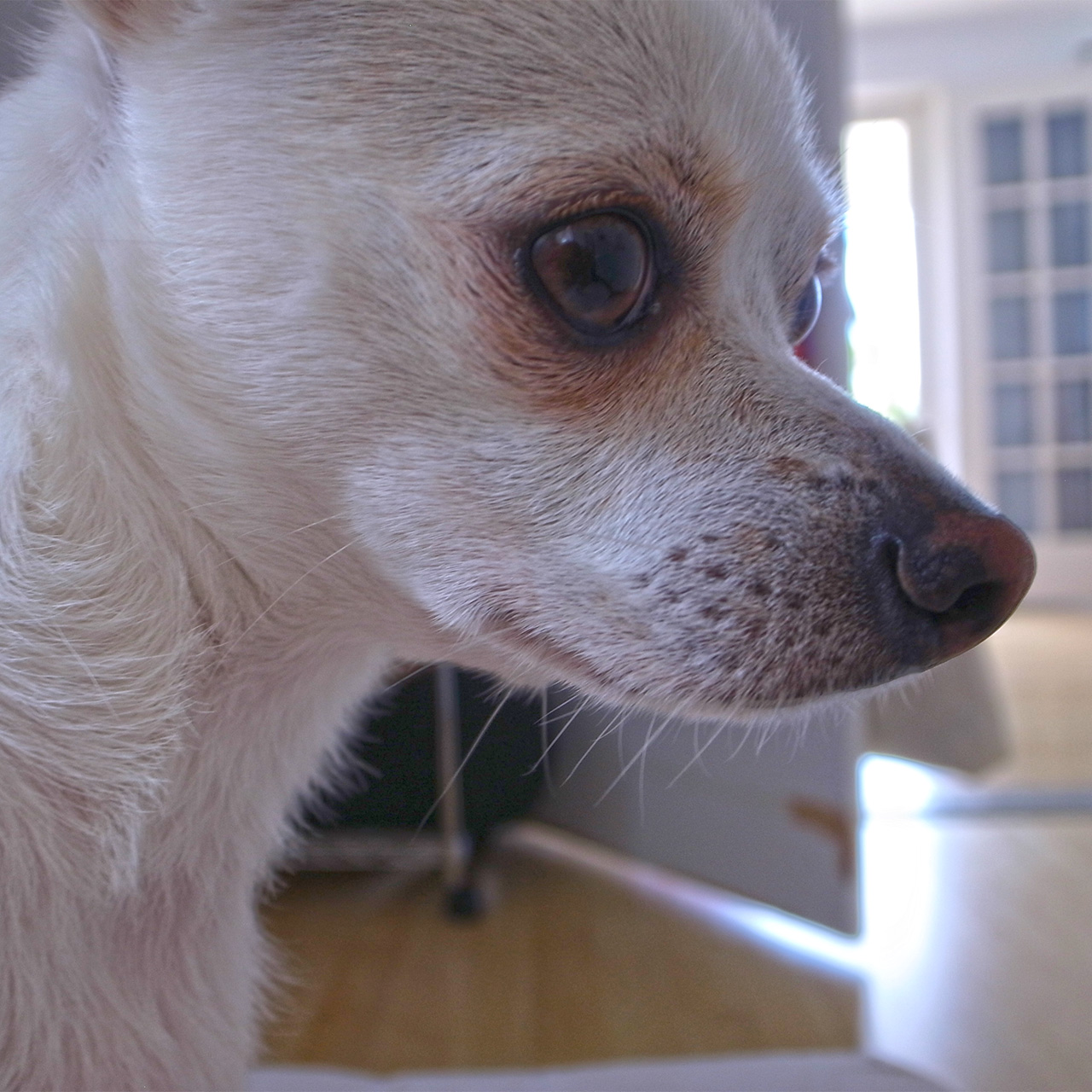 R0014002 マルコ。