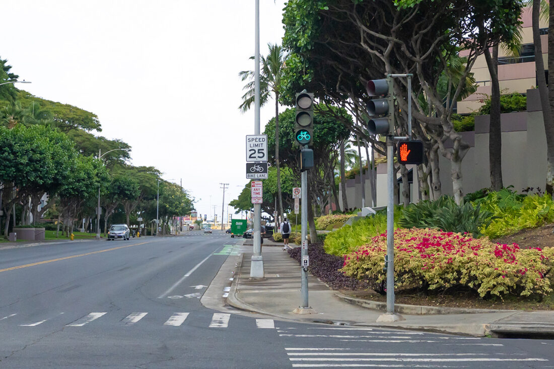 自転車専用の信号。