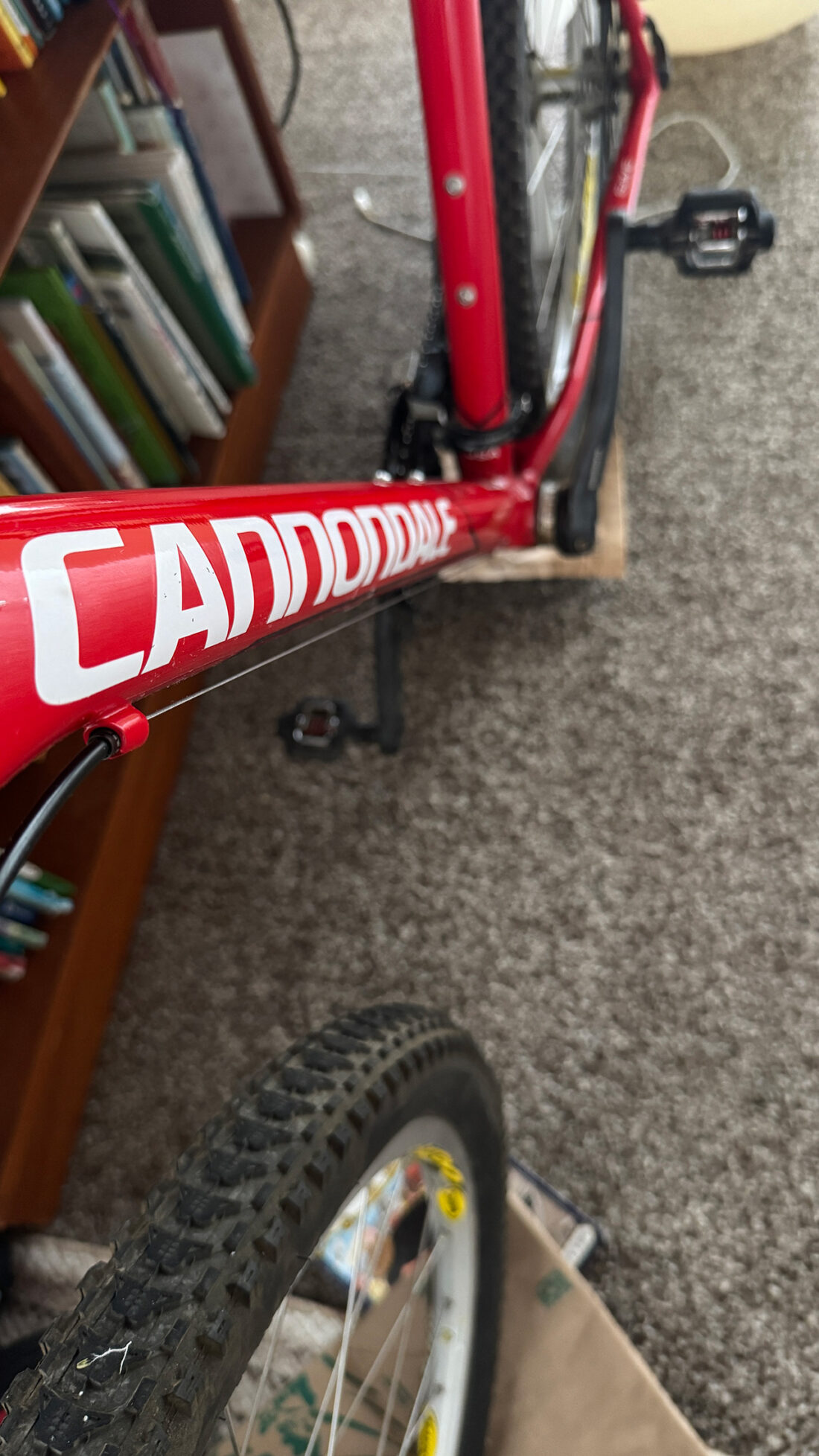 キャノンデール。