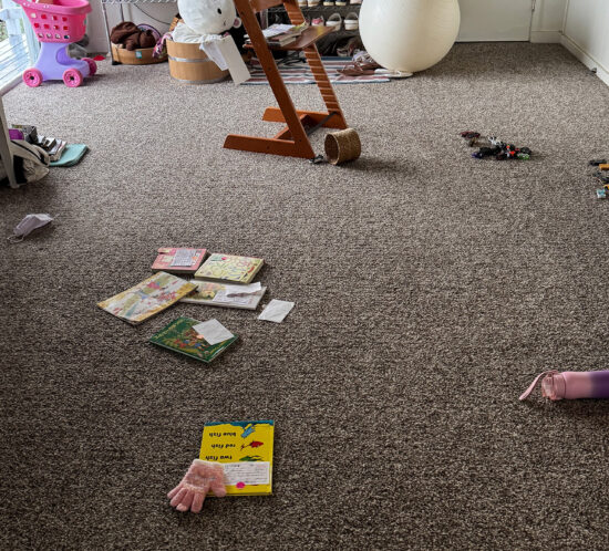 言っても無駄なことを理解できず何度も言うのだけれど、結局自分で片付けることになる話。