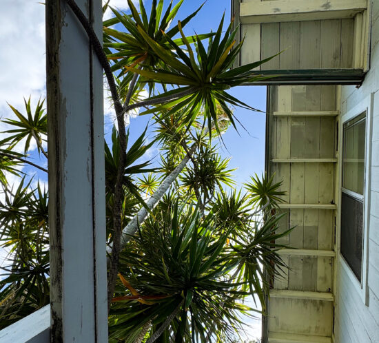 土曜日の朝、見上げるとハワイ。