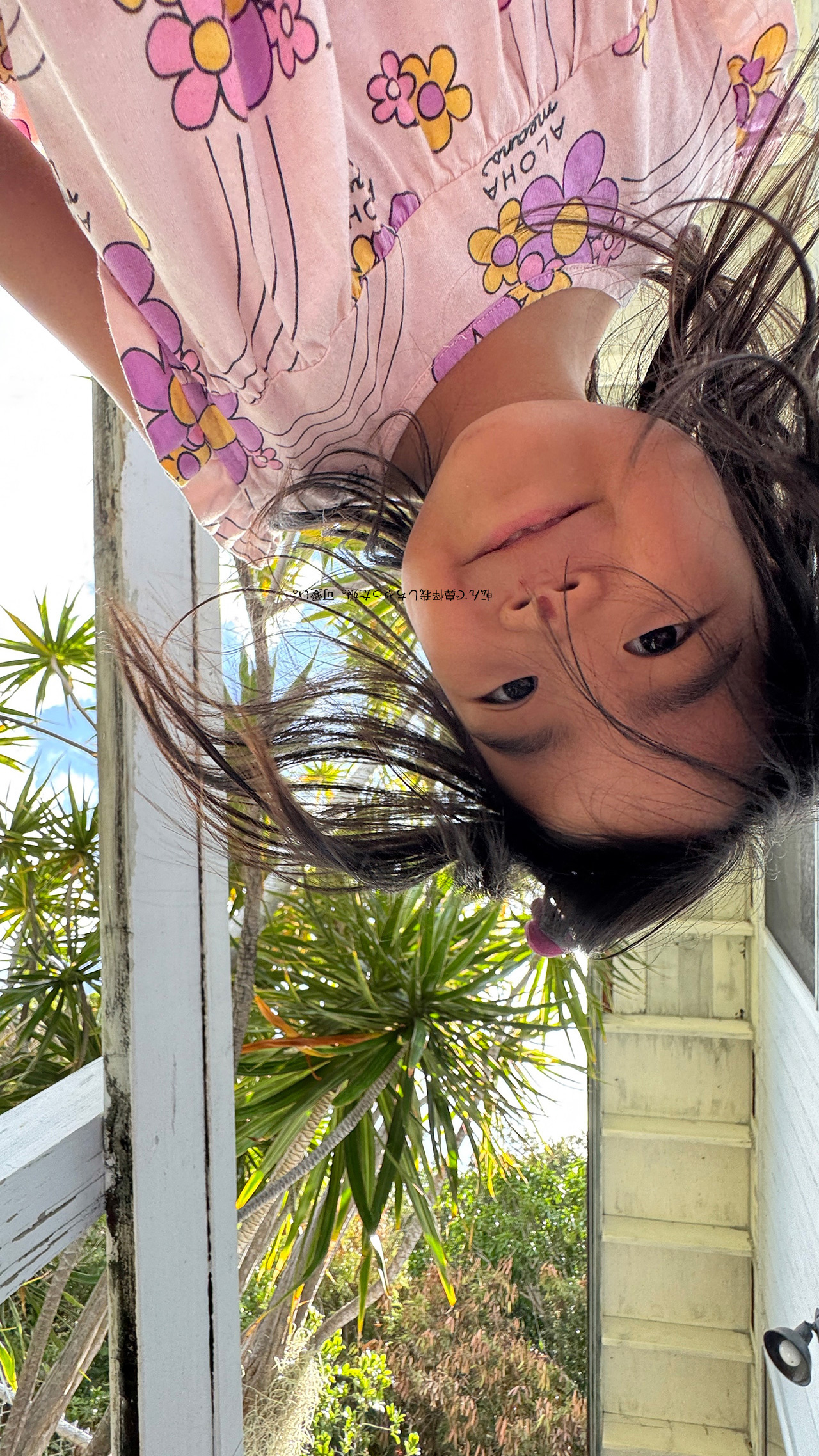 IMG_7389 土曜日の朝、見上げるとハワイ。