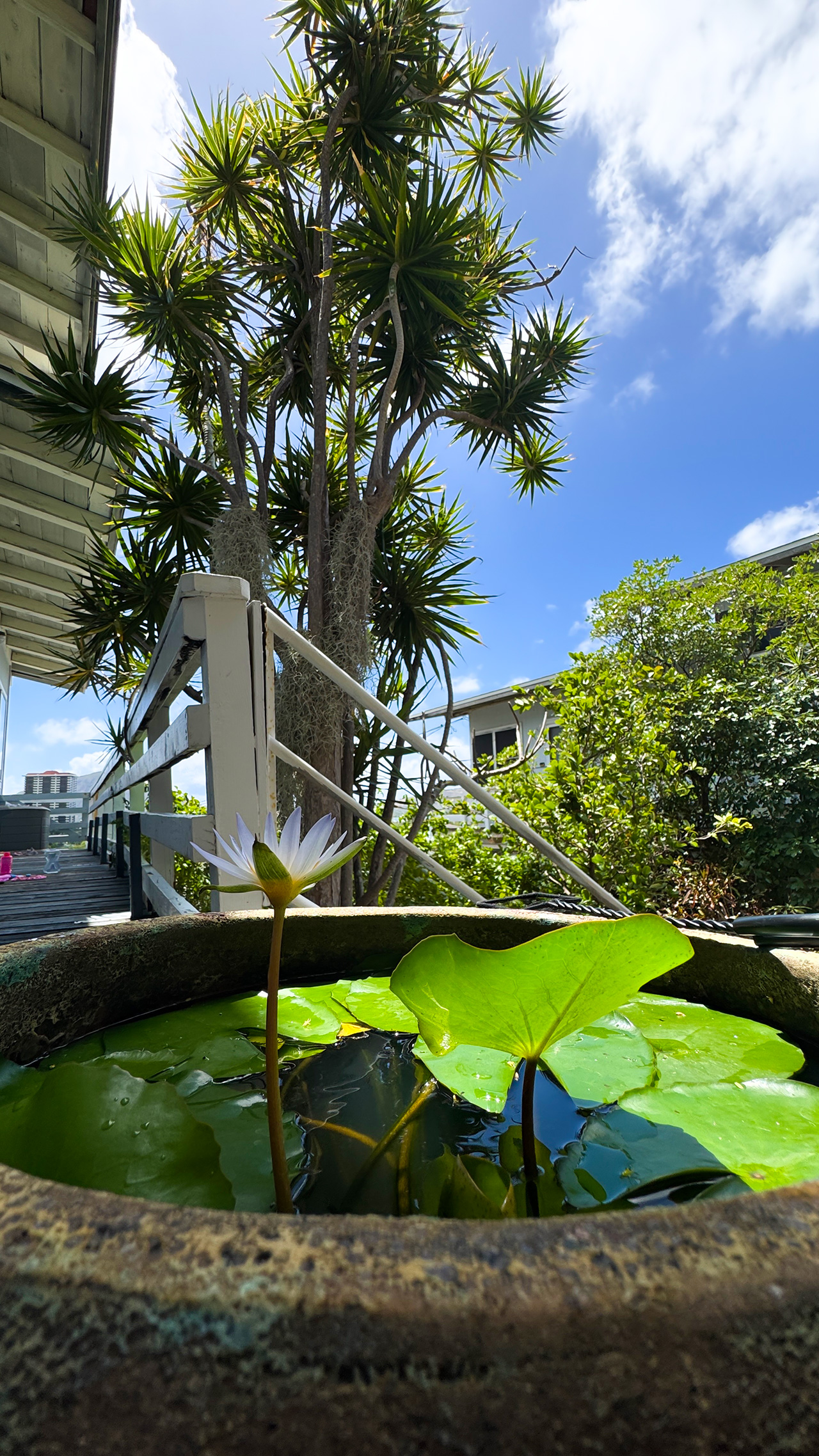 IMG_7463 あー夏休み2。