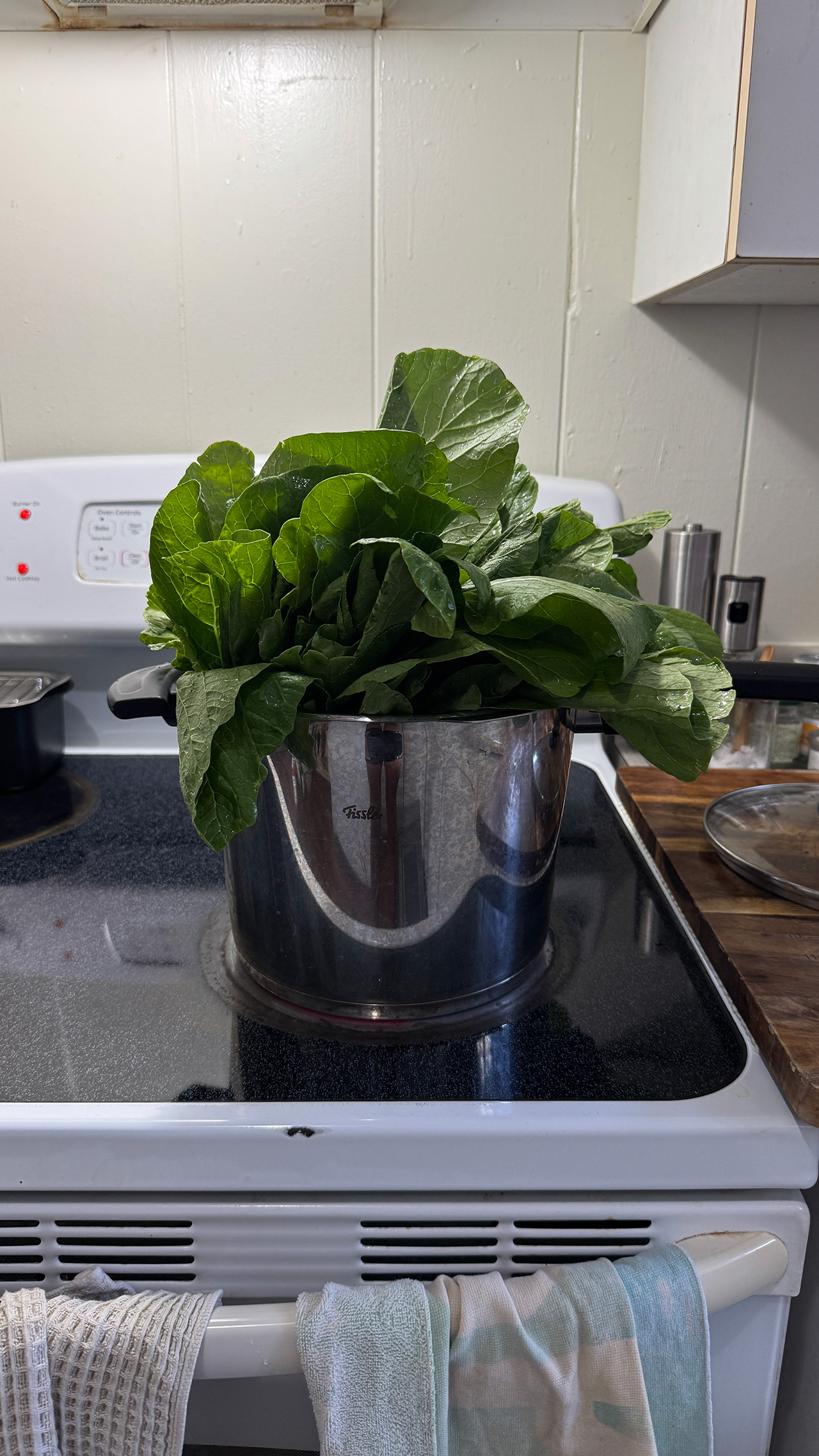 チョイサムのごま油和えにハマってしまった。 チョイサムのごま油和えにハマってしまった。