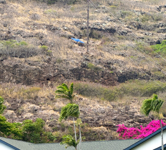 不思議なものを見ました。