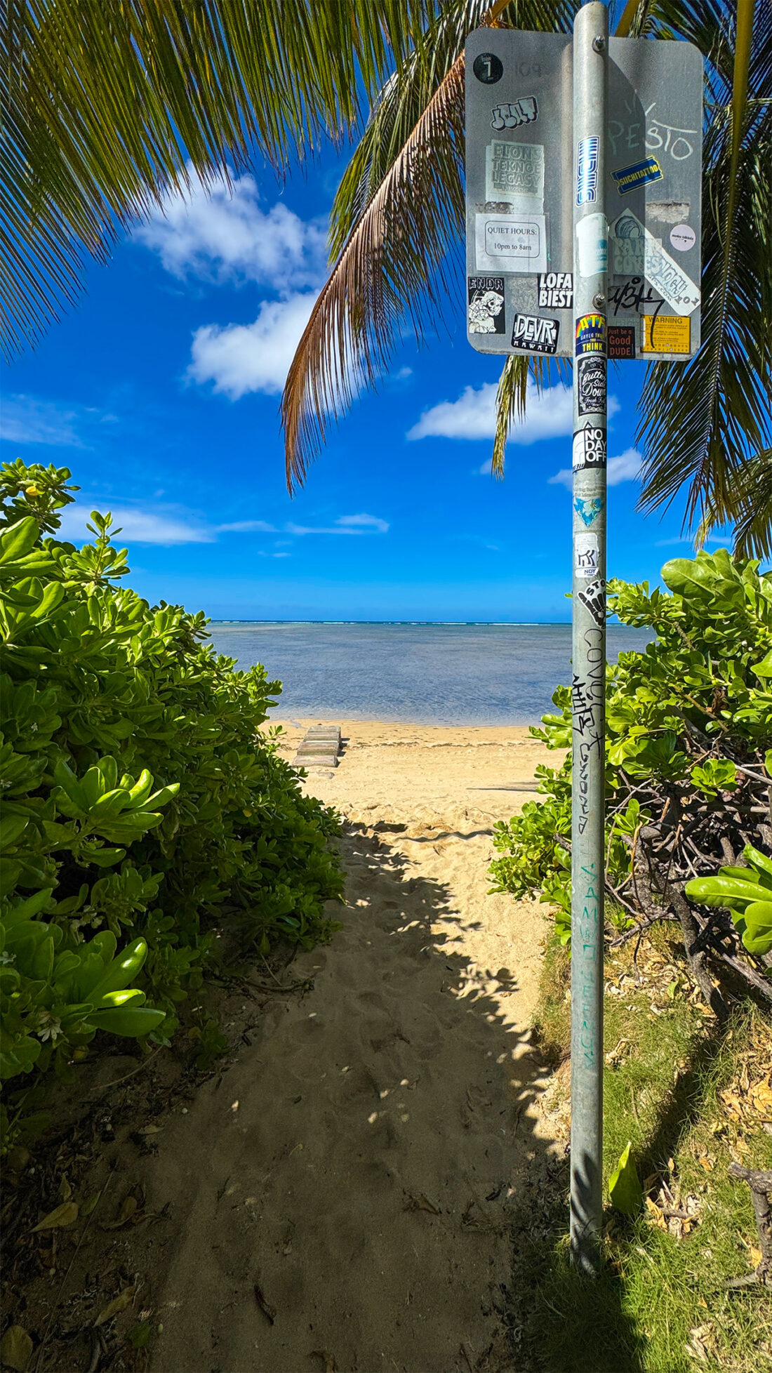 サタデーバイブス。