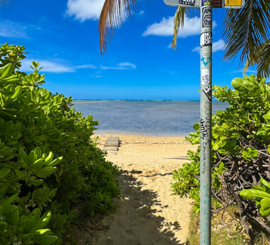 サタデーバイブス。