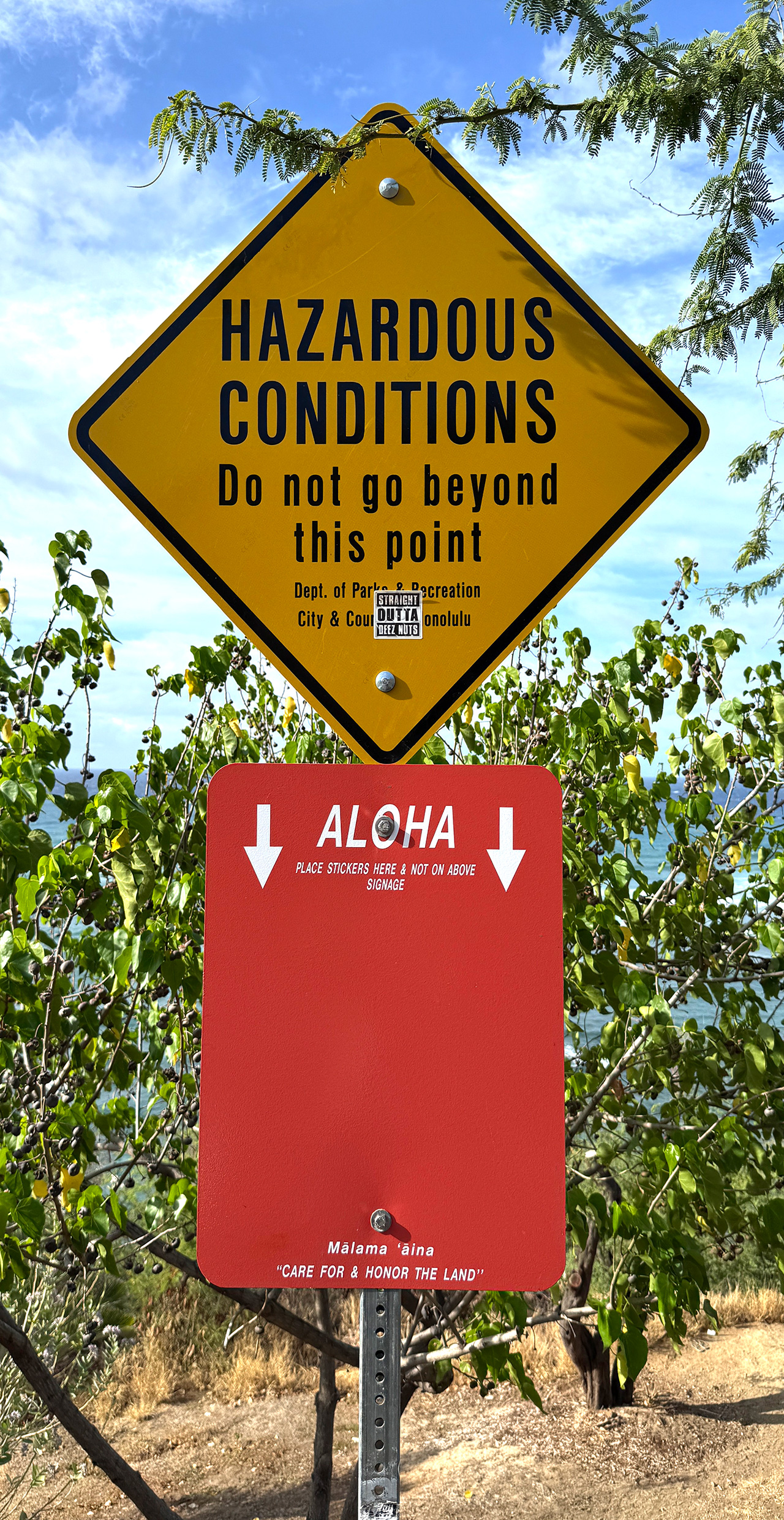 ハワイらしい看板が登場しました♪ ハワイらしい看板が登場しました♪