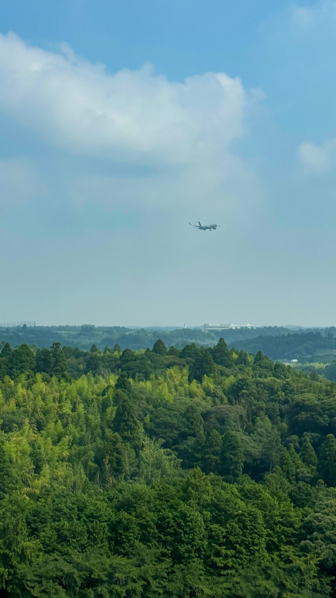 まだ成田っていう話。