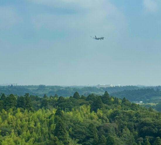 まだ成田っていう話。