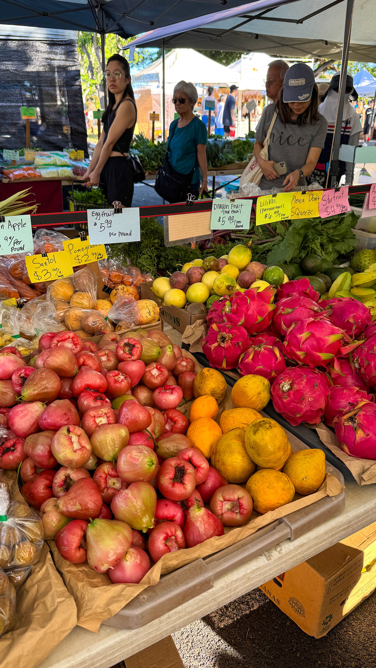 KCCファーマーズマーケット KCCファーマーズマーケット