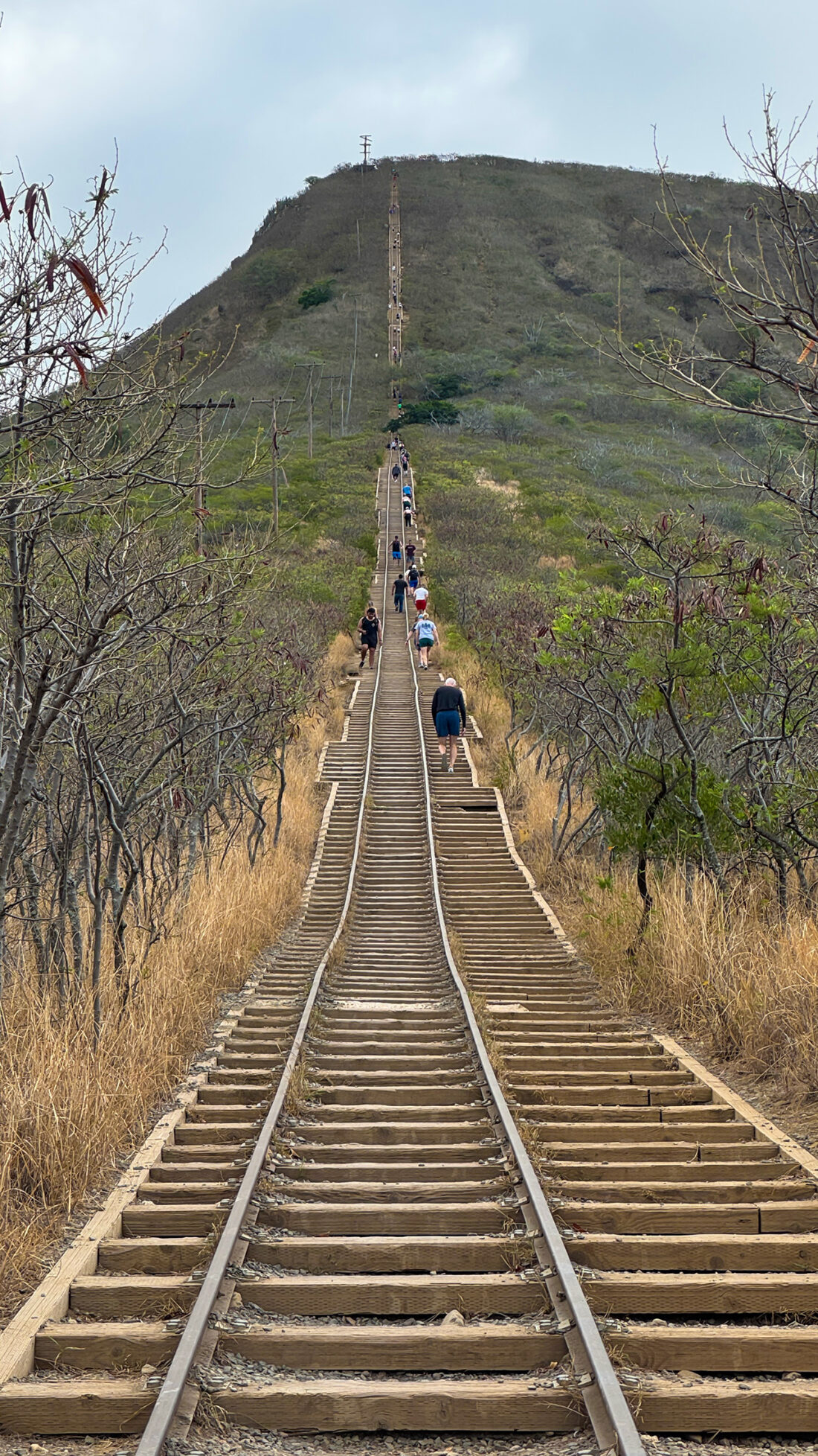 ココヘッドトレイル。