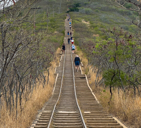 ココヘッドトレイル。