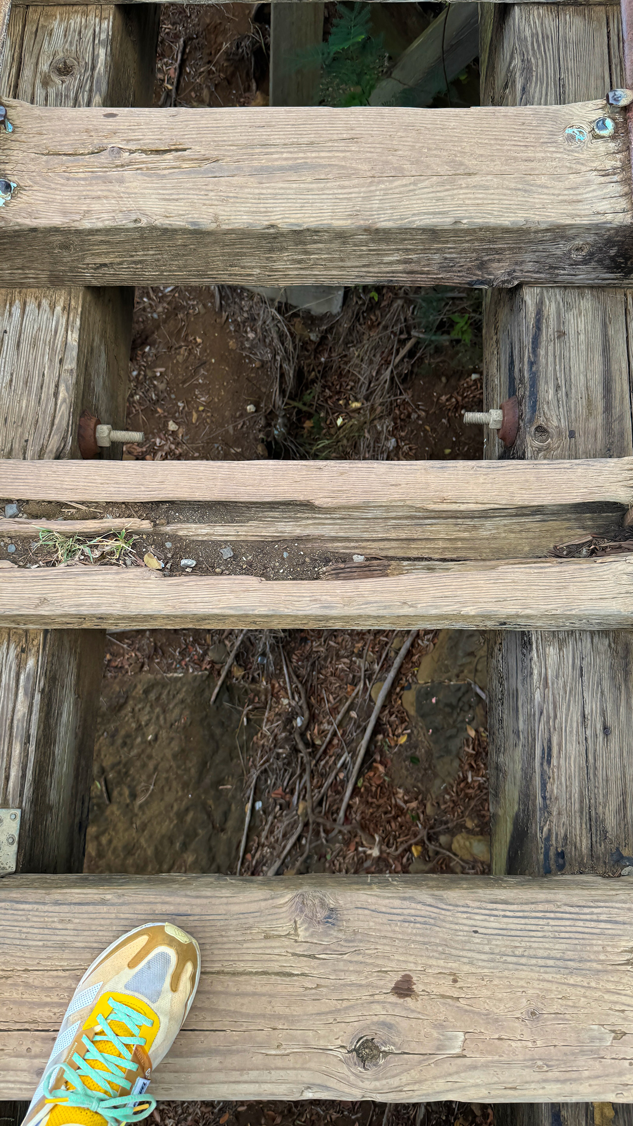 ココヘッドトレイル。 ココヘッドトレイル。