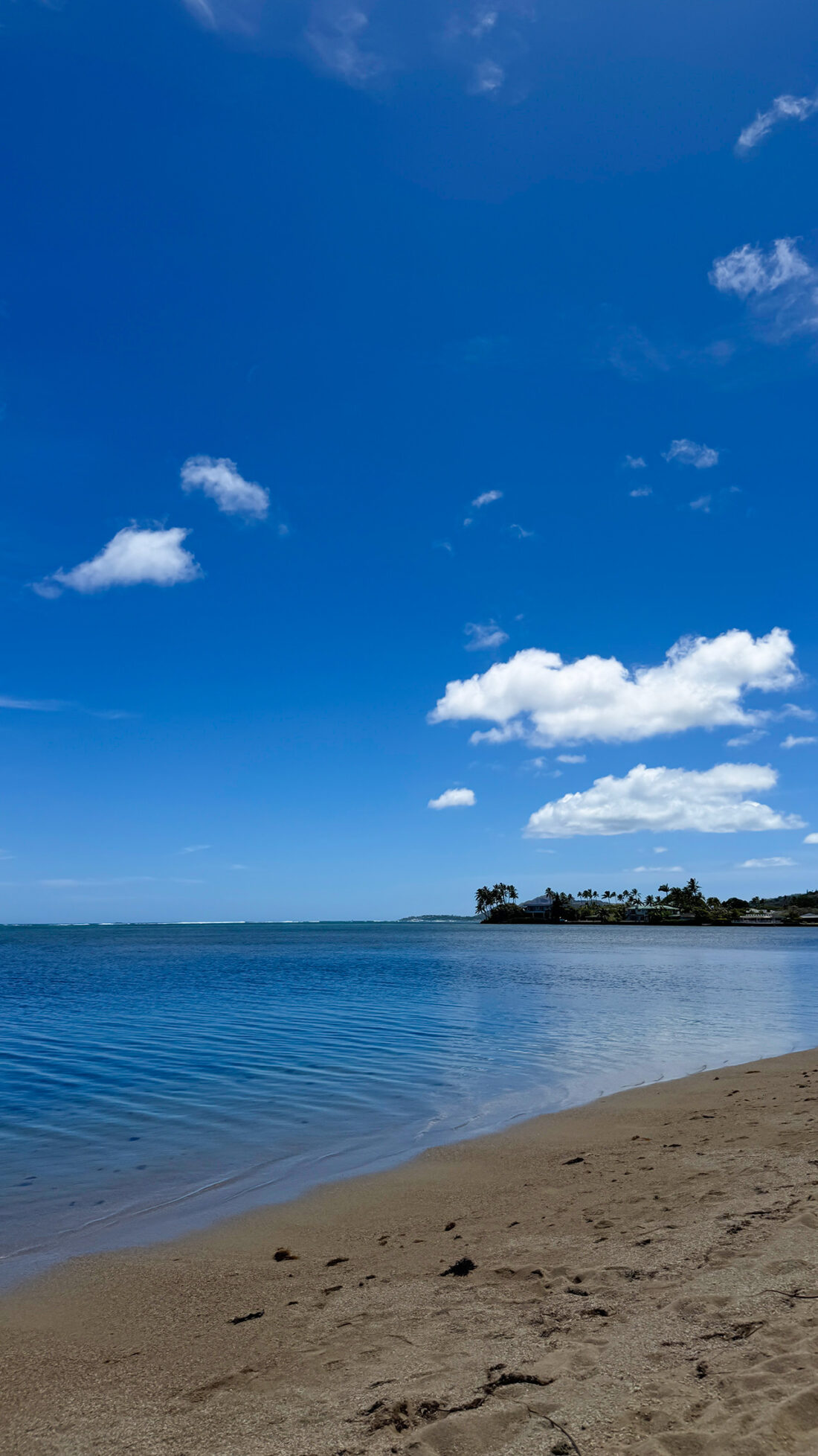 円安と物価高が問いかけるハワイ暮らし。