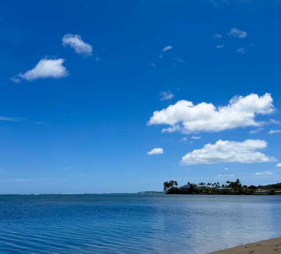 円安と物価高が問いかけるハワイ暮らし。