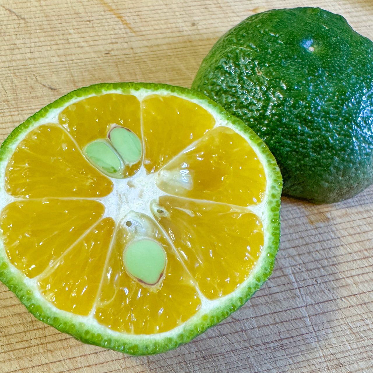 ムナカタハイボール 2025 ムナカタハイボール 2025