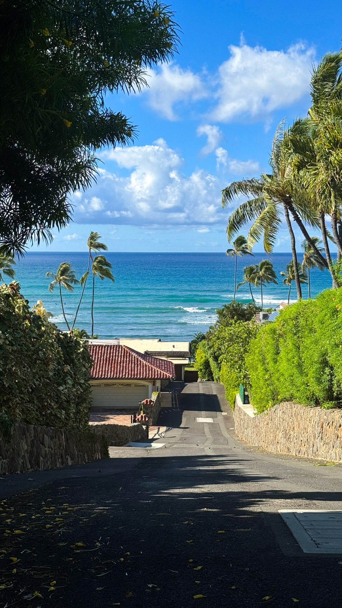 憧れのブラックポイント。