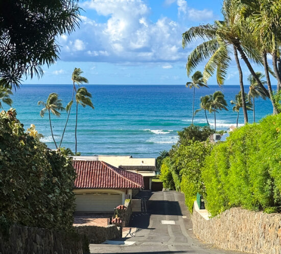 憧れのブラックポイント。