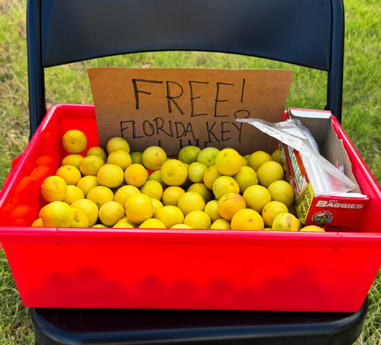 ストリートギフトのハイボール