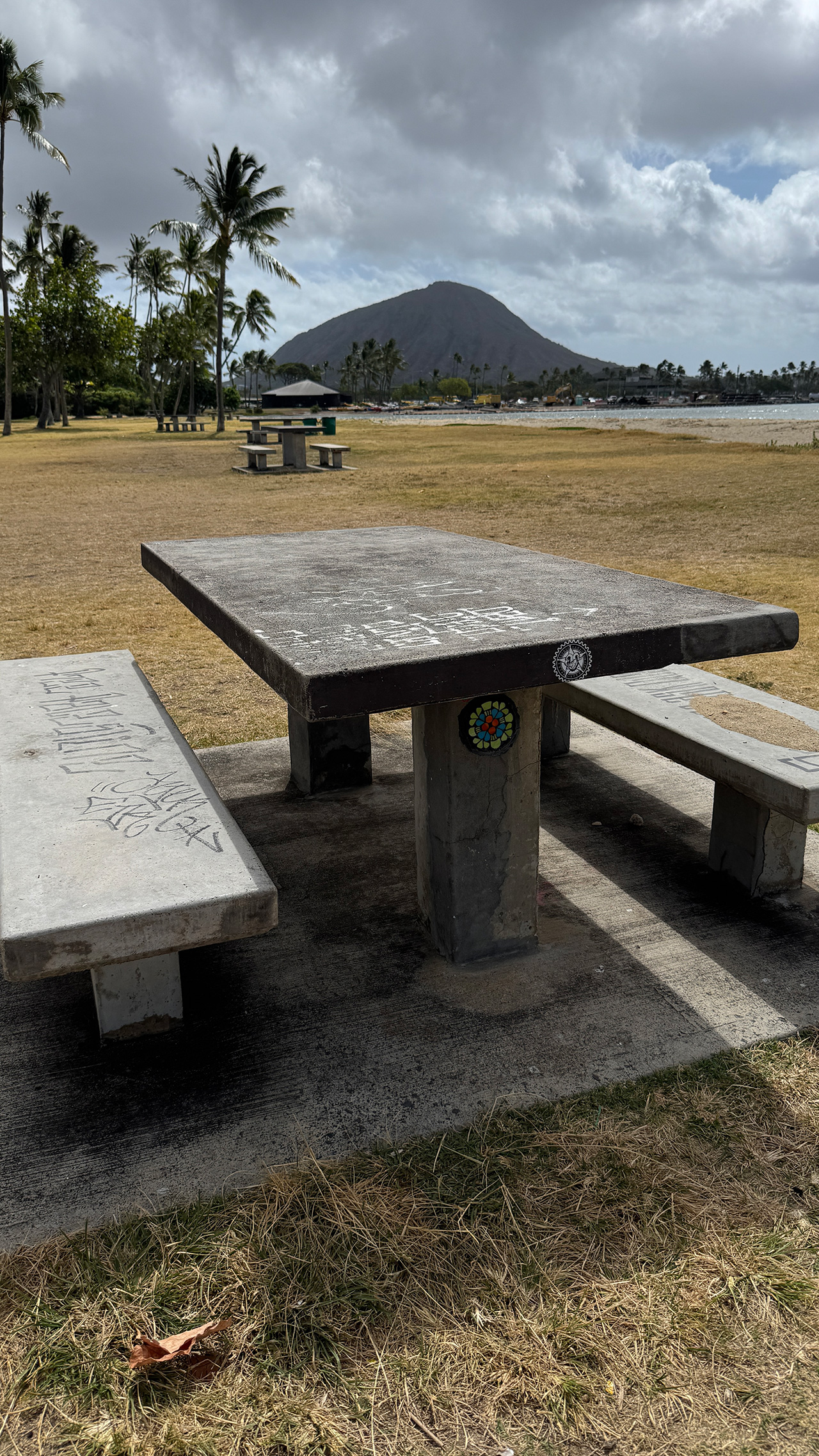 ハワイ出身の素性不明のアーティストの作品かも。 ハワイ出身の素性不明のアーティストの作品かも。