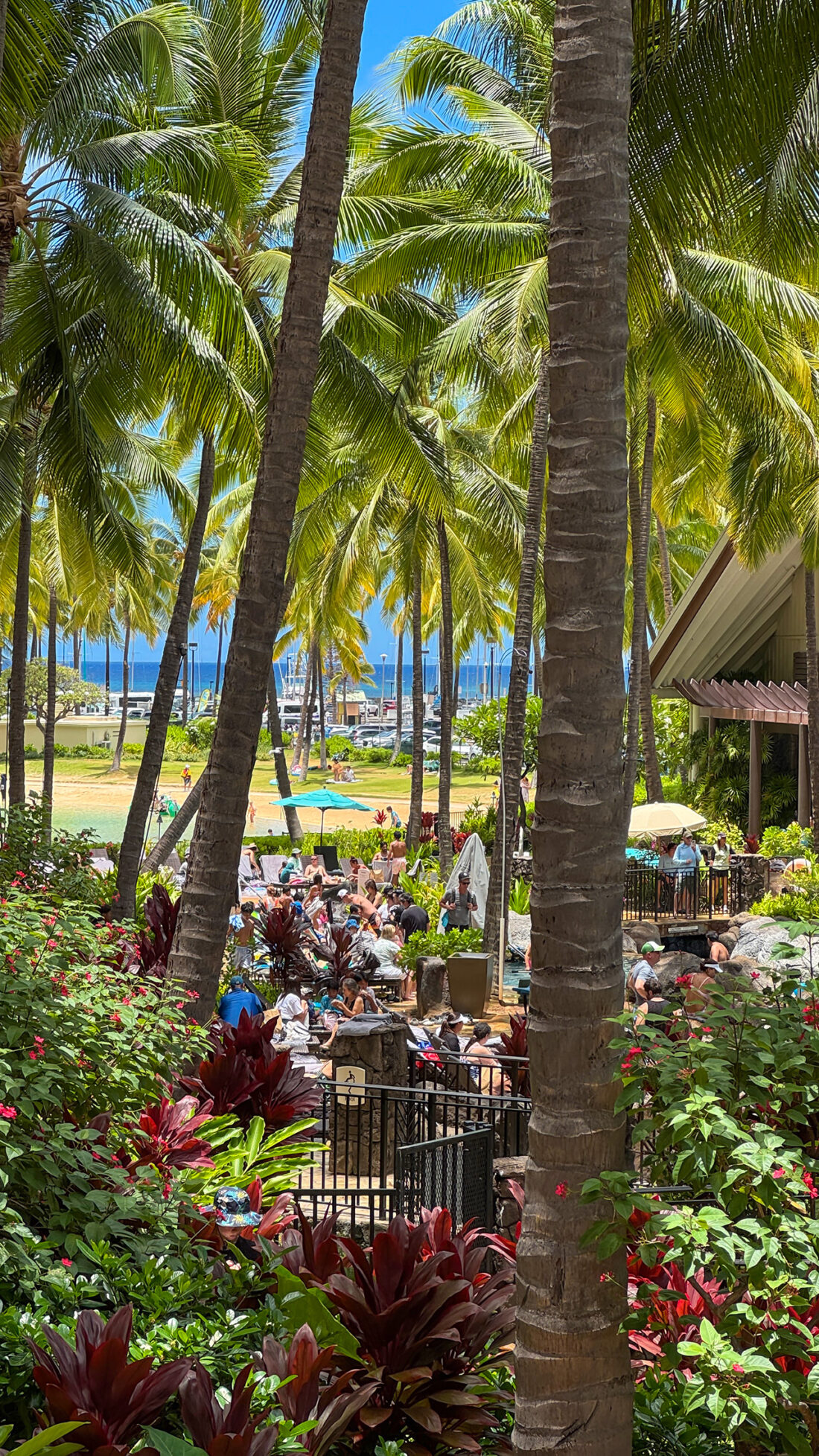 午後、ヒルトンにて。