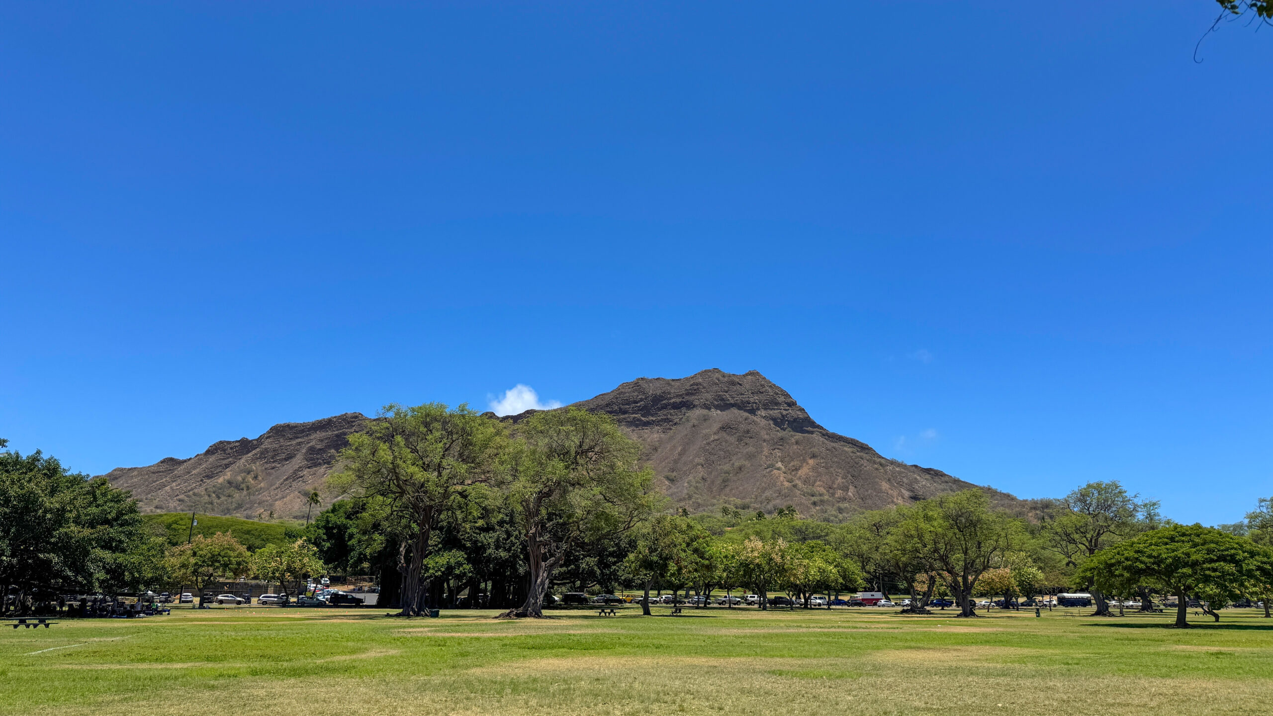 IMG_8414 最高の日曜日。