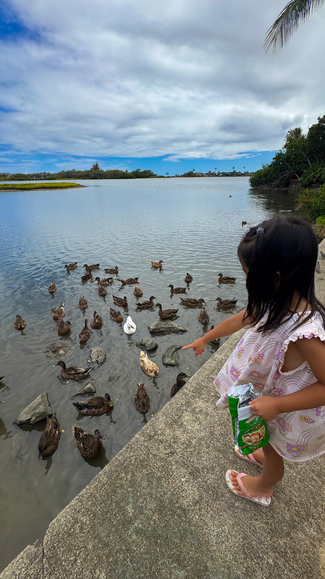 クリウオウオウカイの鴨のところで道草を少々。