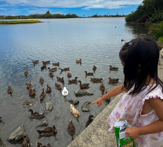 クリウオウオウカイの鴨のところで道草を少々。