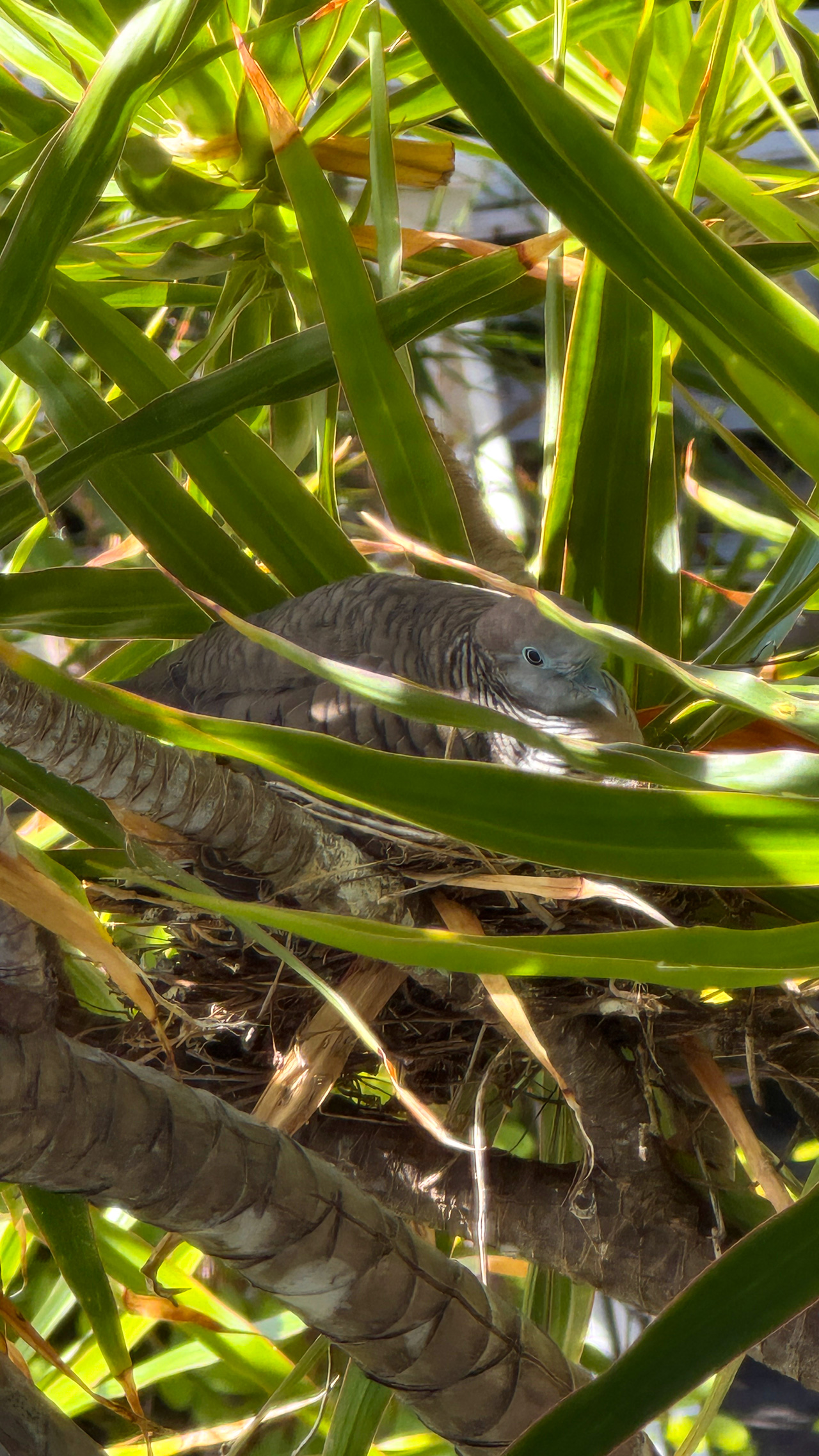 娘が見つけたもの。 娘が見つけたもの。